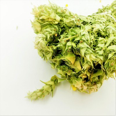 Sage (One Bunch)