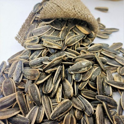 Core Saline ( 500 gr ) 