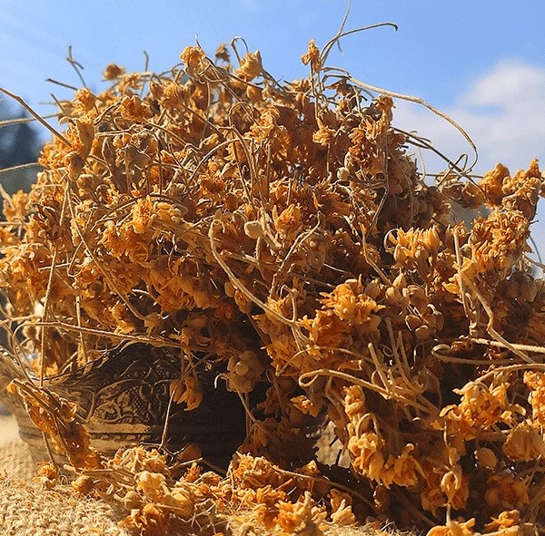 Linden (100 GR) - 2