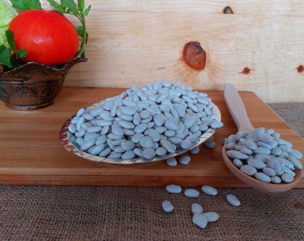 Haricot bean - 1
